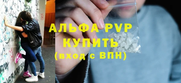 прущие грибы Покров