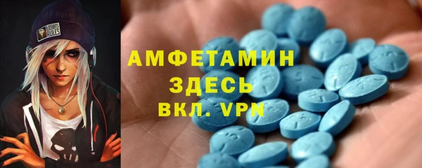 прущие грибы Белокуриха