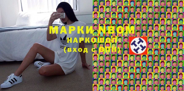 прущие грибы Белокуриха