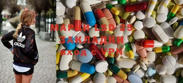 прущие грибы Белокуриха