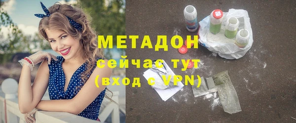 прущие грибы Белокуриха