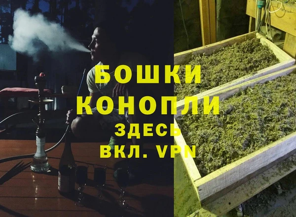прущие грибы Белокуриха