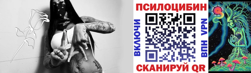 Псилоцибиновые грибы Magic Shrooms Павловск
